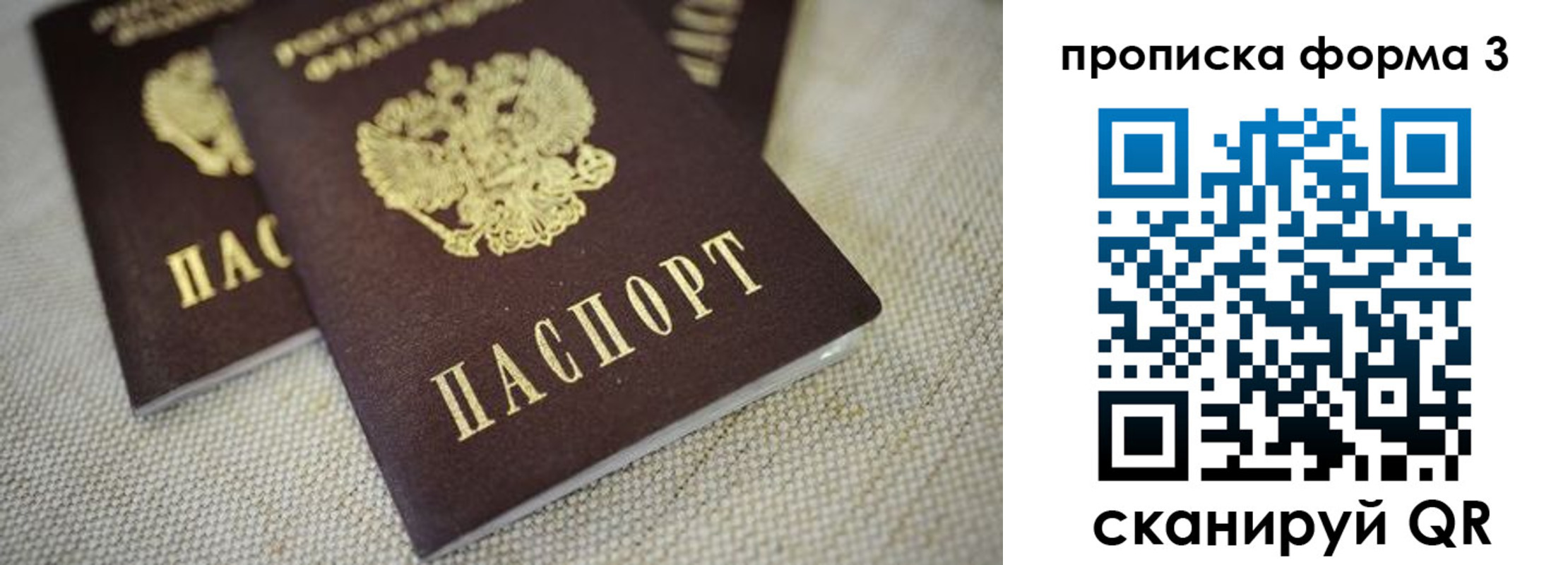 прописка поиск в Чехове
